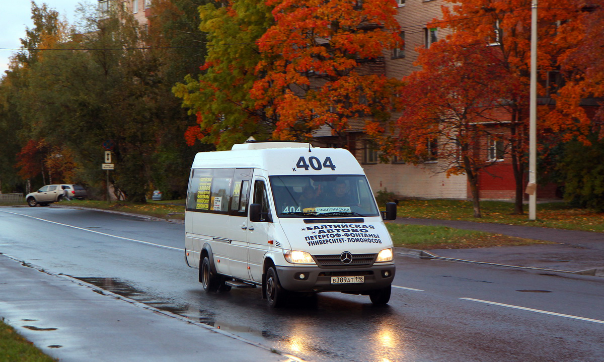 Санкт-Петербург, Луидор-223237 (MB Sprinter Classic) № 3017