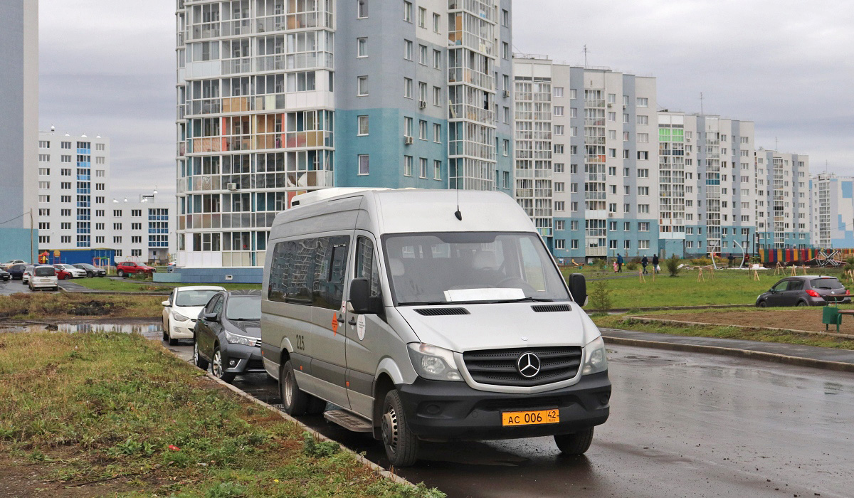 Кемераўская вобласць-Кузбас, Луидор-223602 (MB Sprinter) № 225