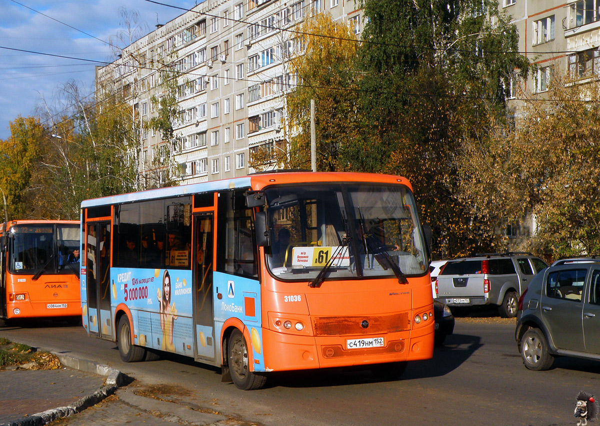 Нижегородская область, ПАЗ-320414-04 "Вектор" № 31036