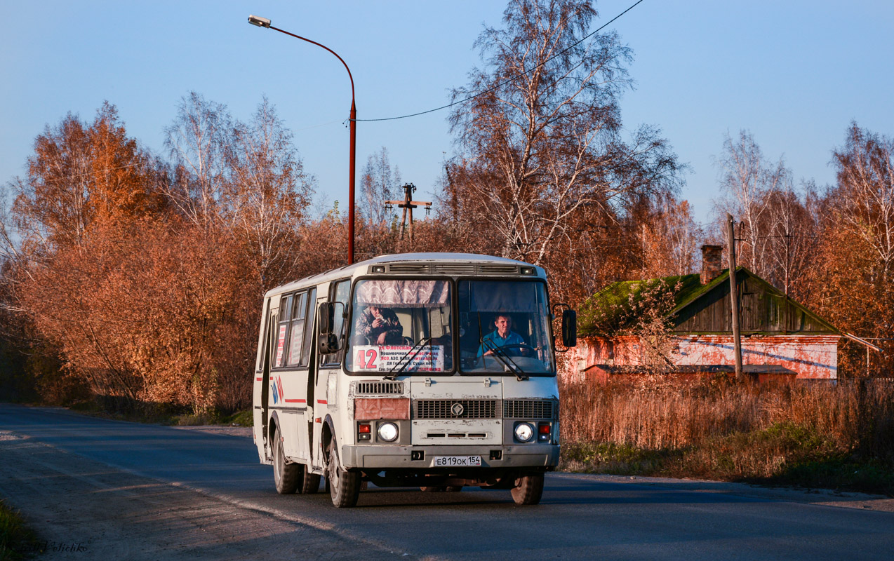 Новосибирская область, ПАЗ-4234 № Е 819 ОК 154