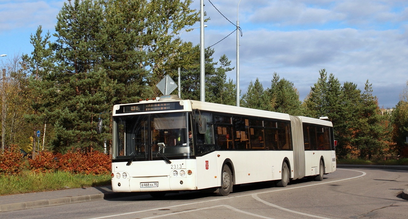 Szentpétervár, LiAZ-6213.20 sz.: 2313