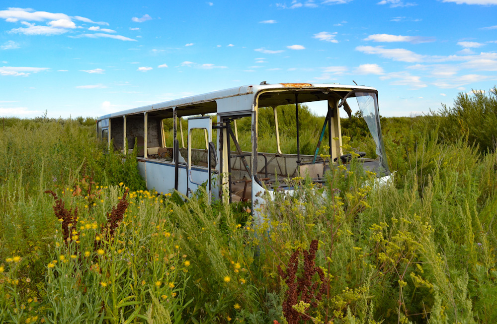 Астана, Ikarus 256 № Б/Н