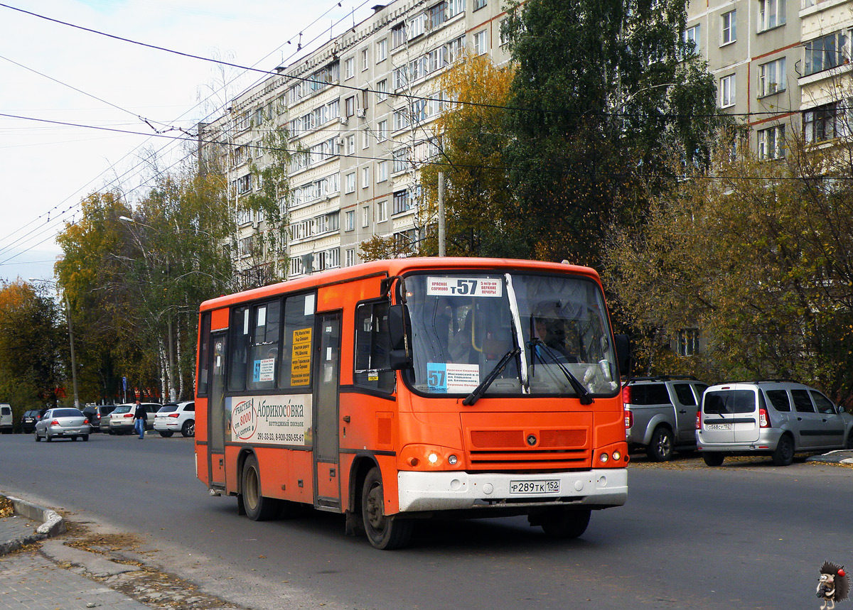 Нижегородская область, ПАЗ-320402-05 № Р 289 ТК 152