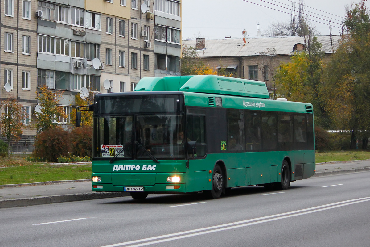 Днепропетровская область, MAN A21 NL313 CNG № 11107