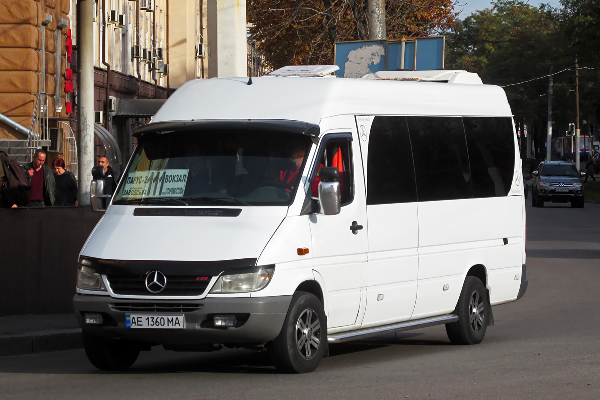 Днепропетровская область, Mercedes-Benz Sprinter W903 313CDI № AE 1360 MA