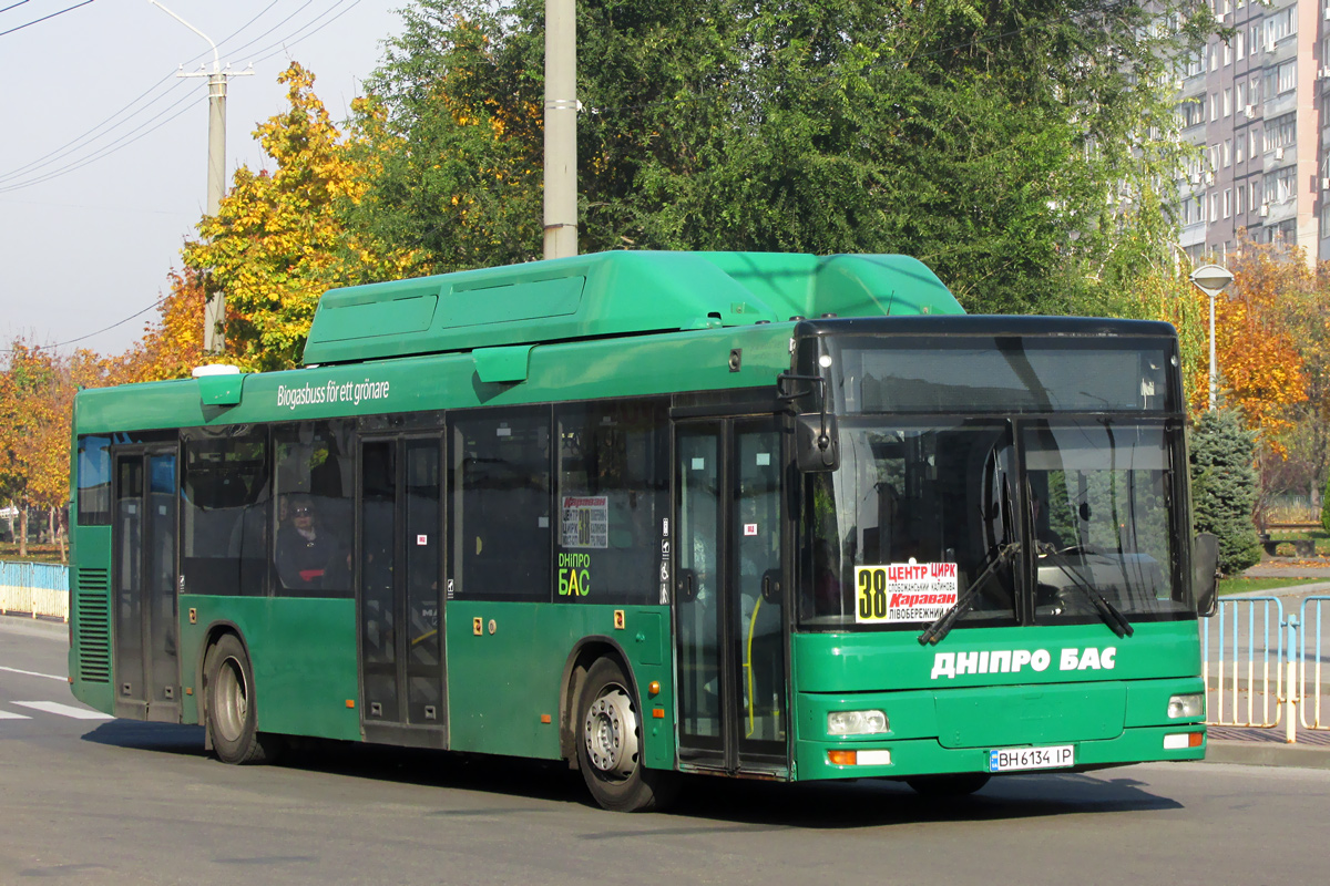 Днепропетровская область, MAN A21 NL313 CNG № 11103