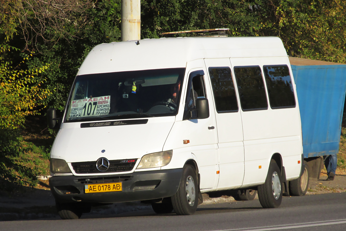 Днепропетровская область, Mercedes-Benz Sprinter W903 313CDI № AE 0178 AB