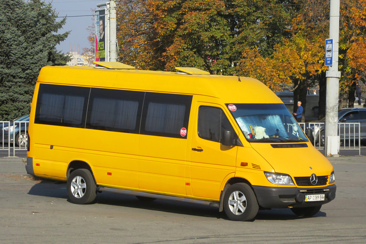 Zaporozhye region, Mercedes-Benz Sprinter W903 311CDI Nr. AP 0389 BA