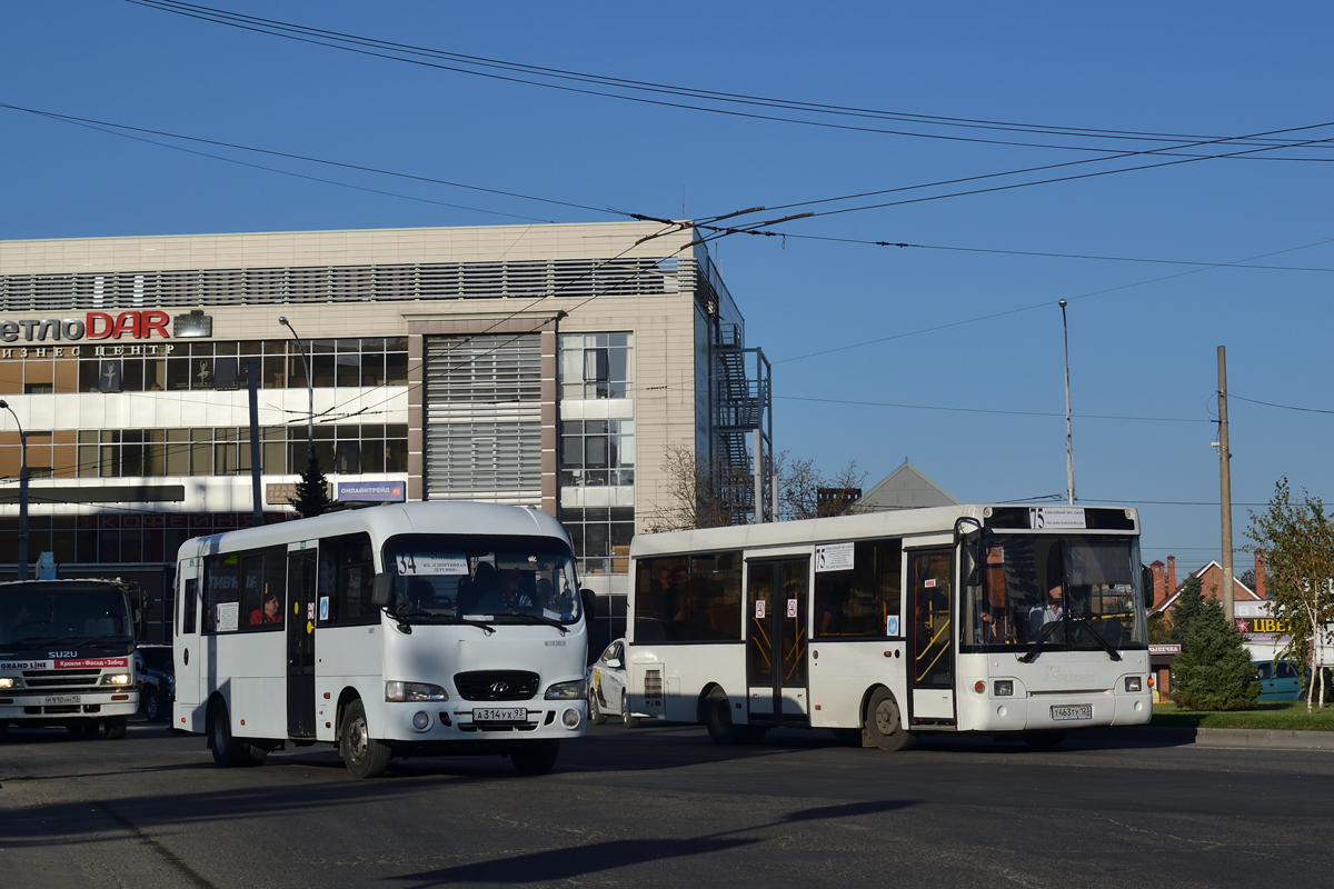 Krasnodar region, Hyundai County LWB C09 (TagAZ) Nr. А 314 УХ 93; Krasnodar region, PAZ-3237-03 Nr. Т 463 ТУ 123