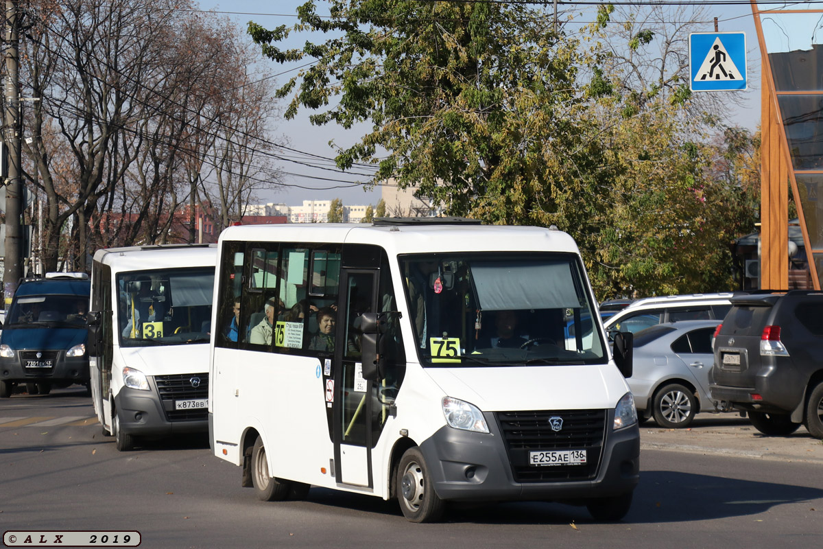 Воронежская область, ГАЗ-A64R42 Next № Е 255 АЕ 136