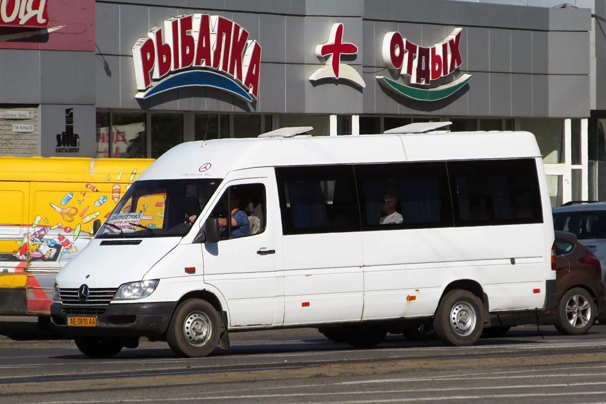 Днепропетровская область, Mercedes-Benz Sprinter W903 313CDI № AE 0810 AA