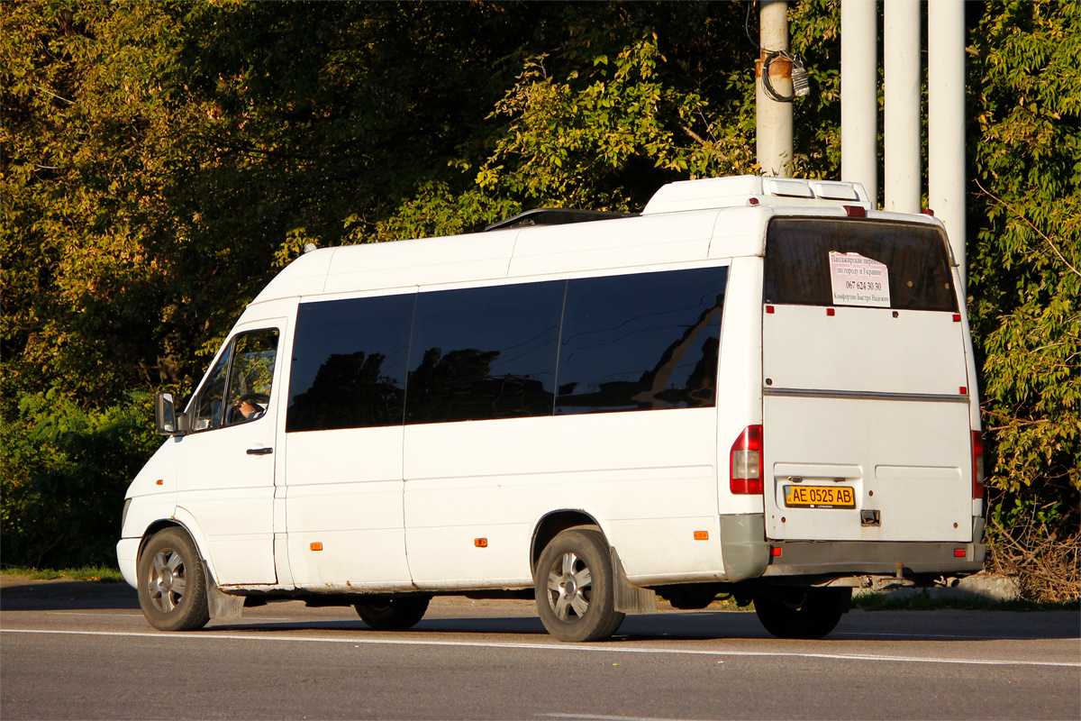 Днепропетровская область, Mercedes-Benz Sprinter W903 313CDI № AE 0525 AB
