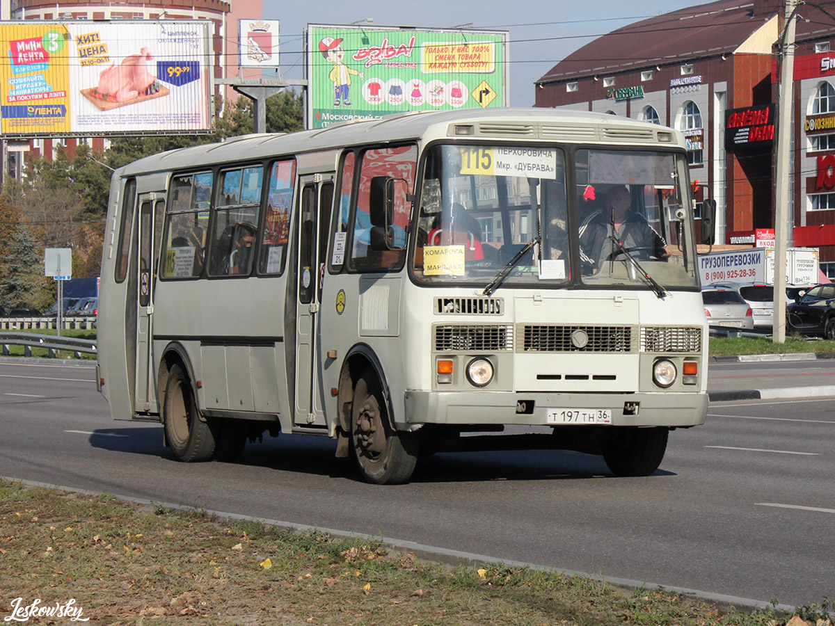 Воронежская область, ПАЗ-4234 № Т 197 ТН 36