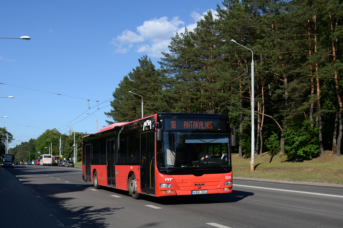 Литва, MAN A21 Lion's City NL273 № 3036