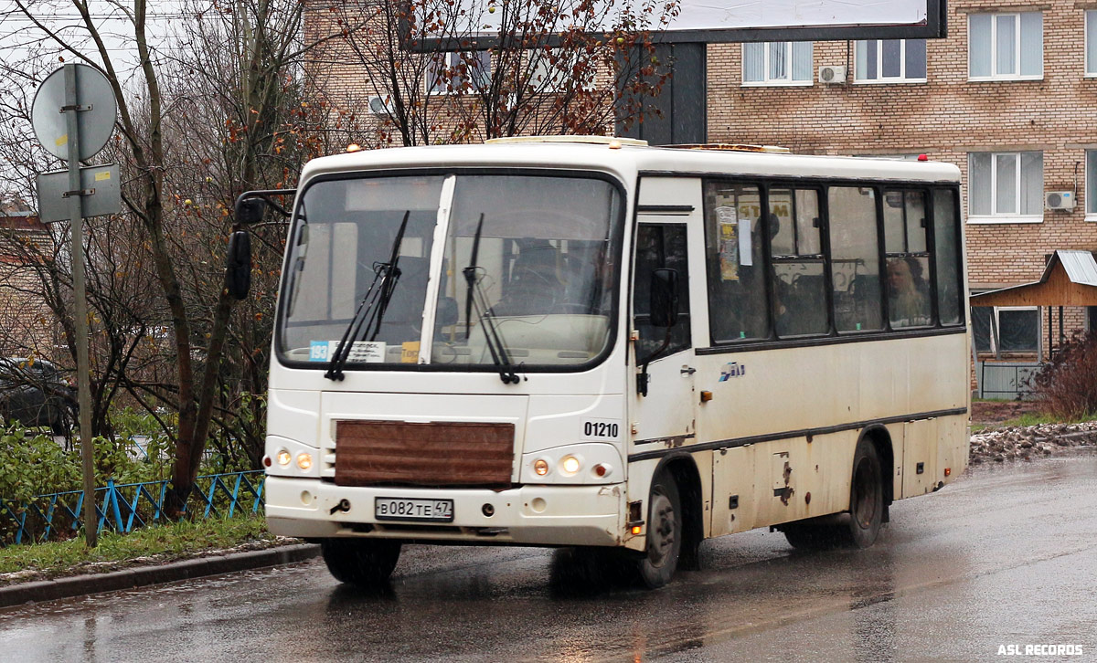 Ленинградская область, ПАЗ-320402-03 № 01210