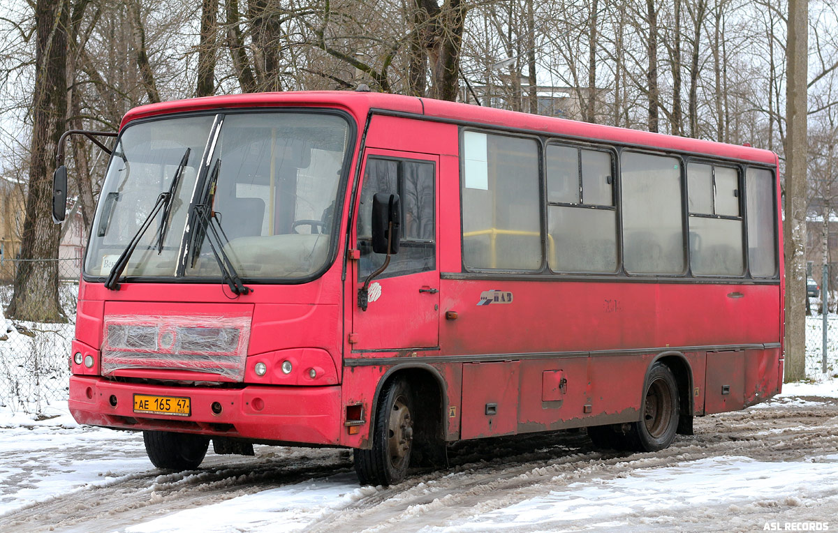 Ленинградская область, ПАЗ-320402-03 № АЕ 165 47