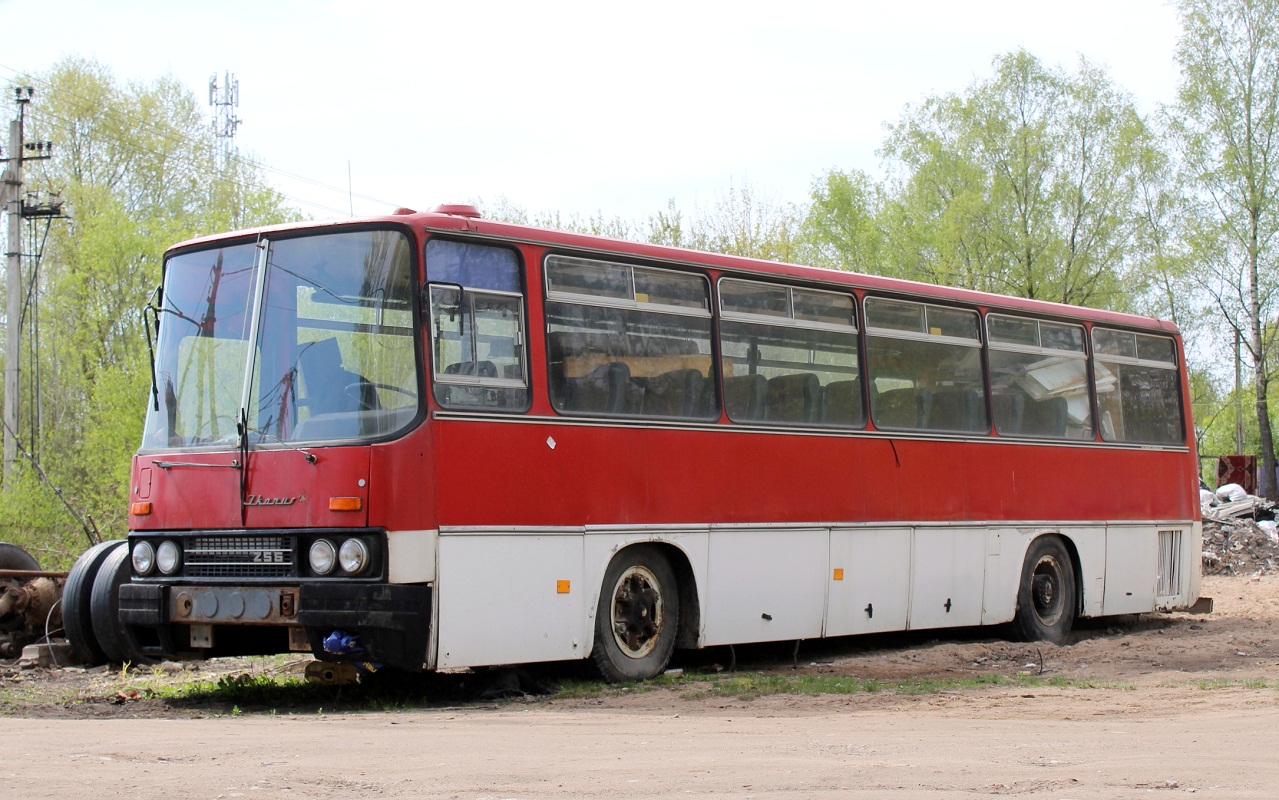 Псковская область — Автобусы без номеров