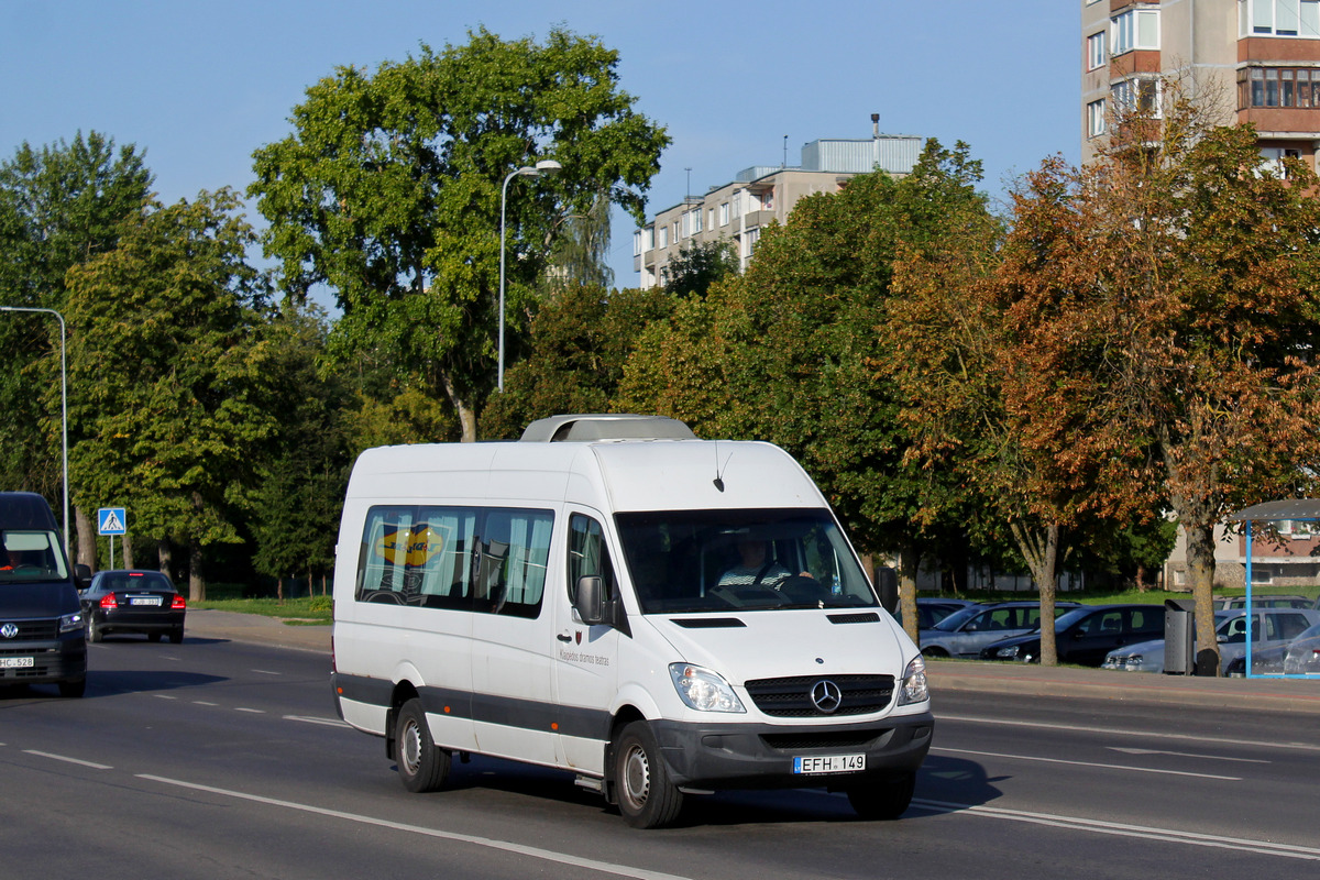 Литва, Mercedes-Benz Sprinter W906 315CDI № EFH 149