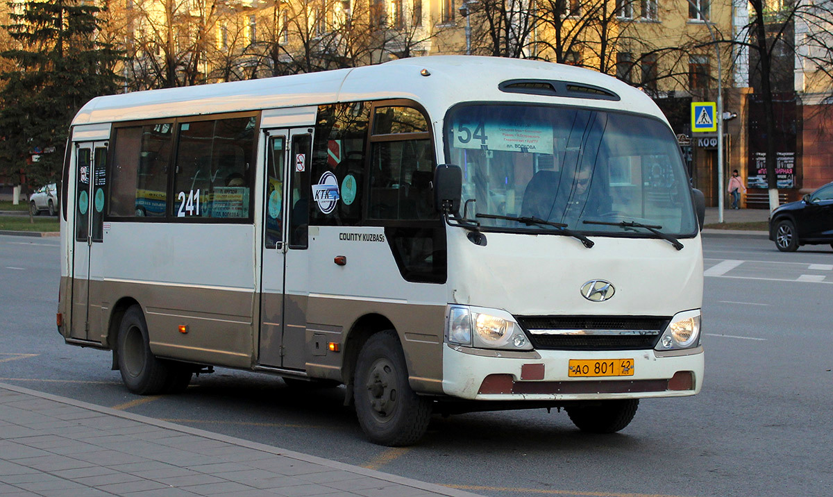 Кемеровская область - Кузбасс, Hyundai County Kuzbass № 241