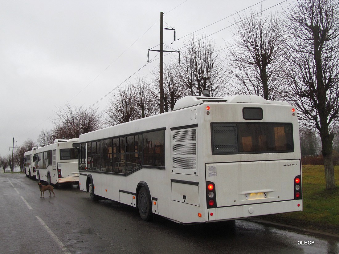 Obwód witebski — Miscellaneous photos; Mińsk — New buses OAO "MAZ"