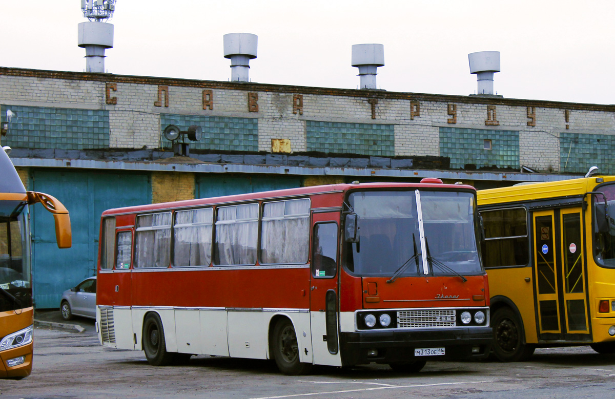 Курская область, Ikarus 256.54 № М 313 ОЕ 46