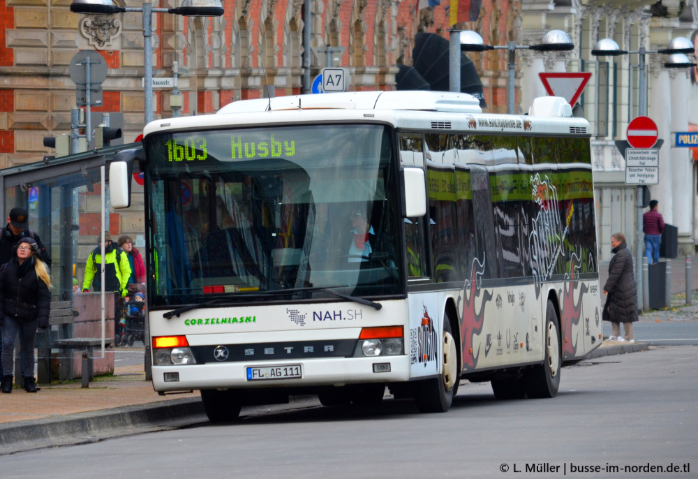 Шлезвиг-Гольштейн, Setra S315NF № FL-AG 111