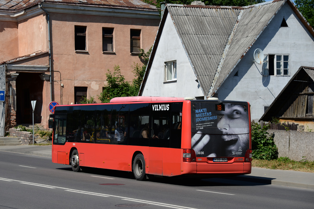 Lithuania, MAN A21 Lion's City NL273 # 3036