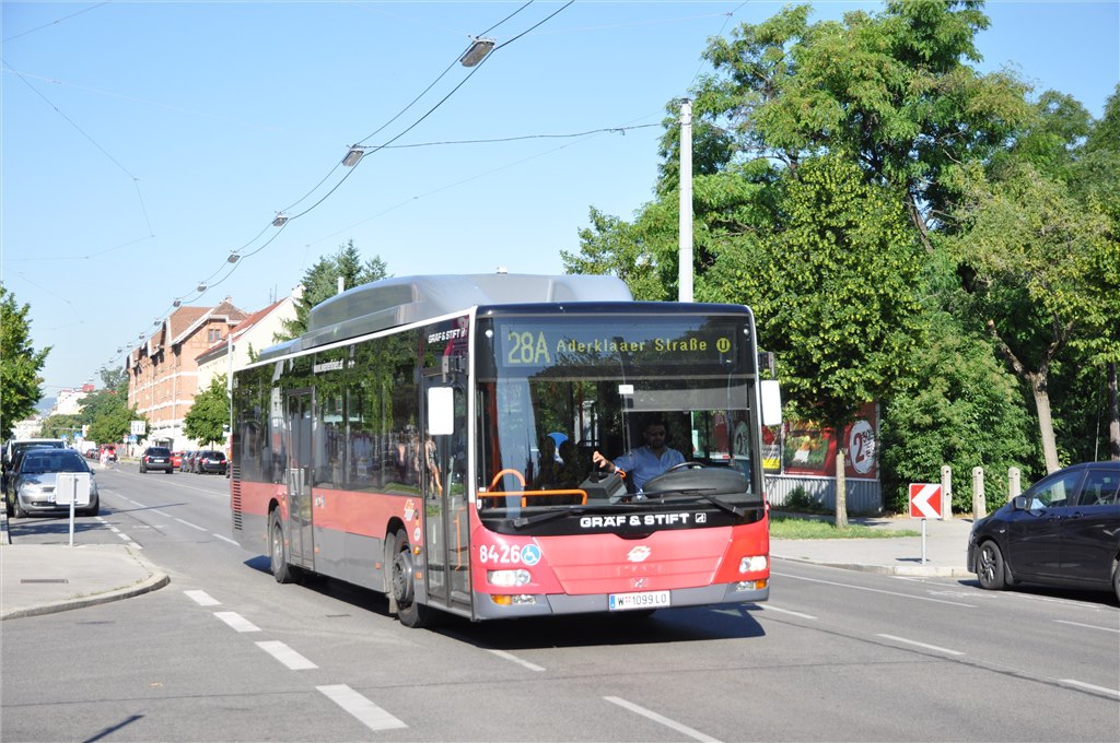 Австрия, MAN A21 Lion's City NL273 LPG № 8426