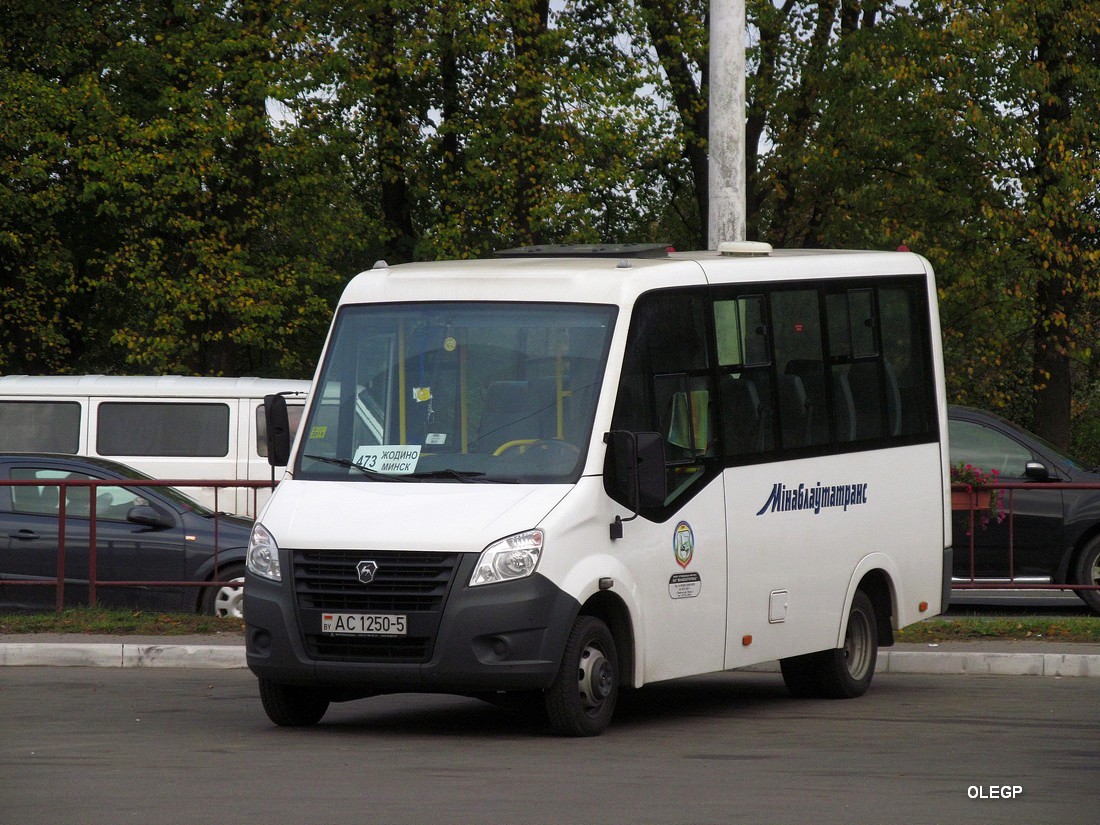 Minsk region, AVR "AKtava" (GAZelle NEXT) Nr. АС 1250-5