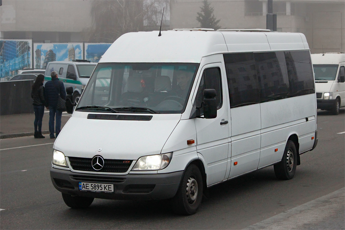 Днепропетровская область, Mercedes-Benz Sprinter W903 313CDI № AE 5895 KE