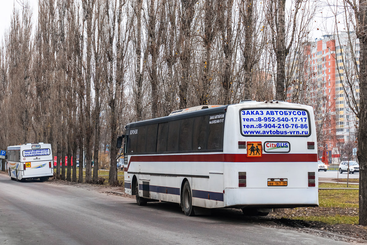 Воронежская область, Van Hool T8 Alizée 260NL № ВВ 167 36