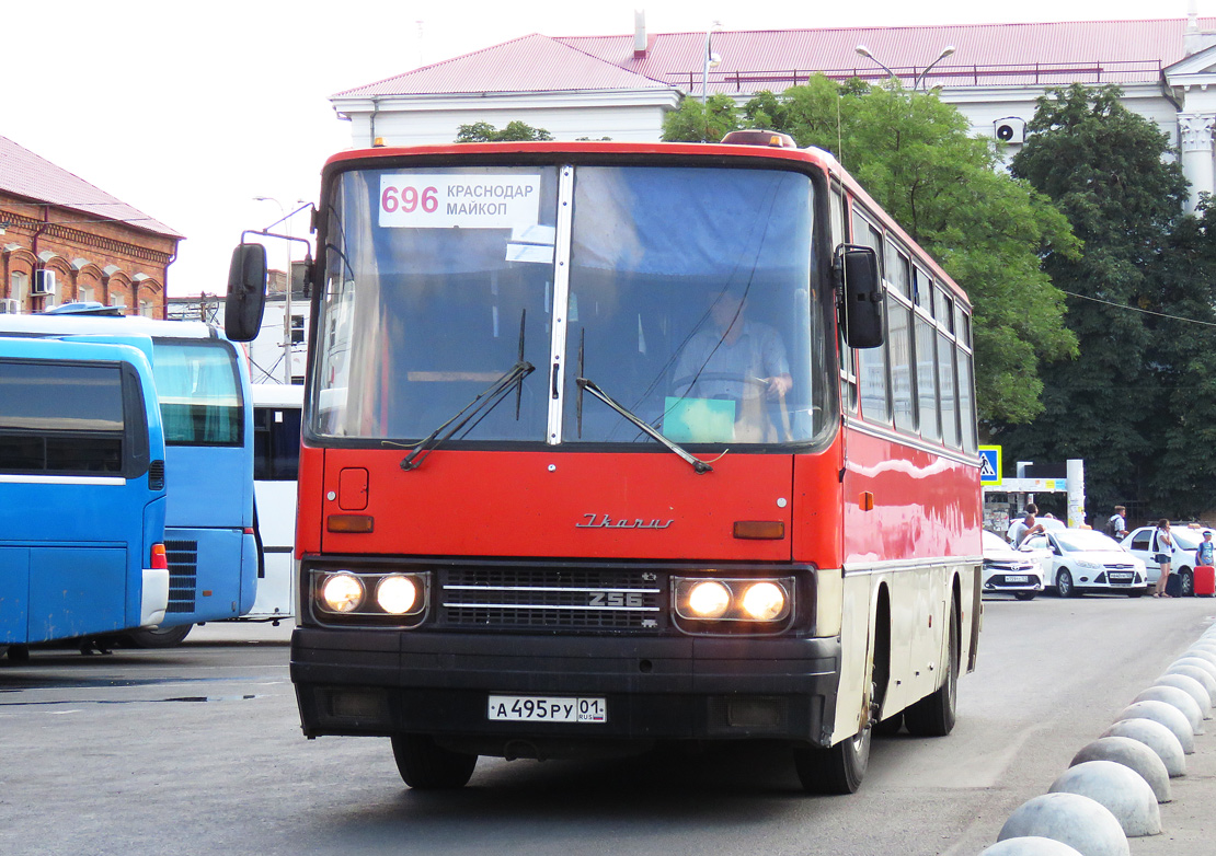 Адыгея, Ikarus 256.74 № А 495 РУ 01