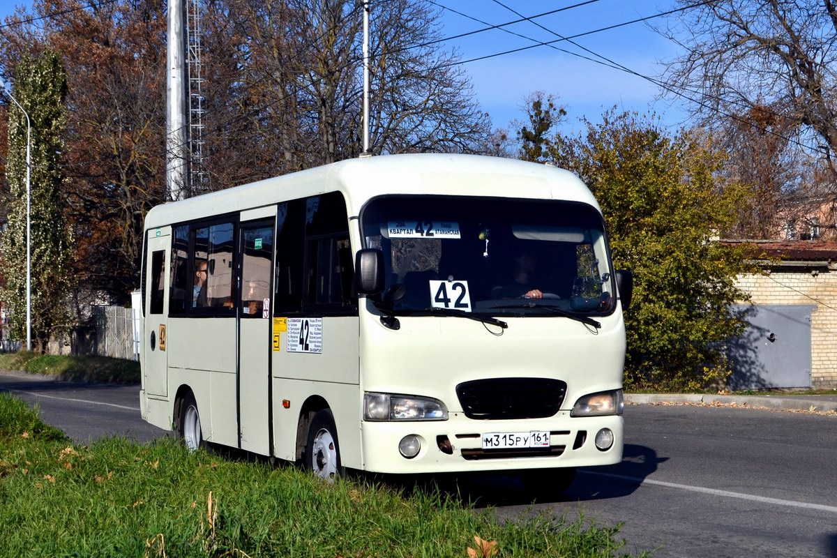 Ставропольский край, Hyundai County SWB C08 (РЗГА) № М 315 РУ 161