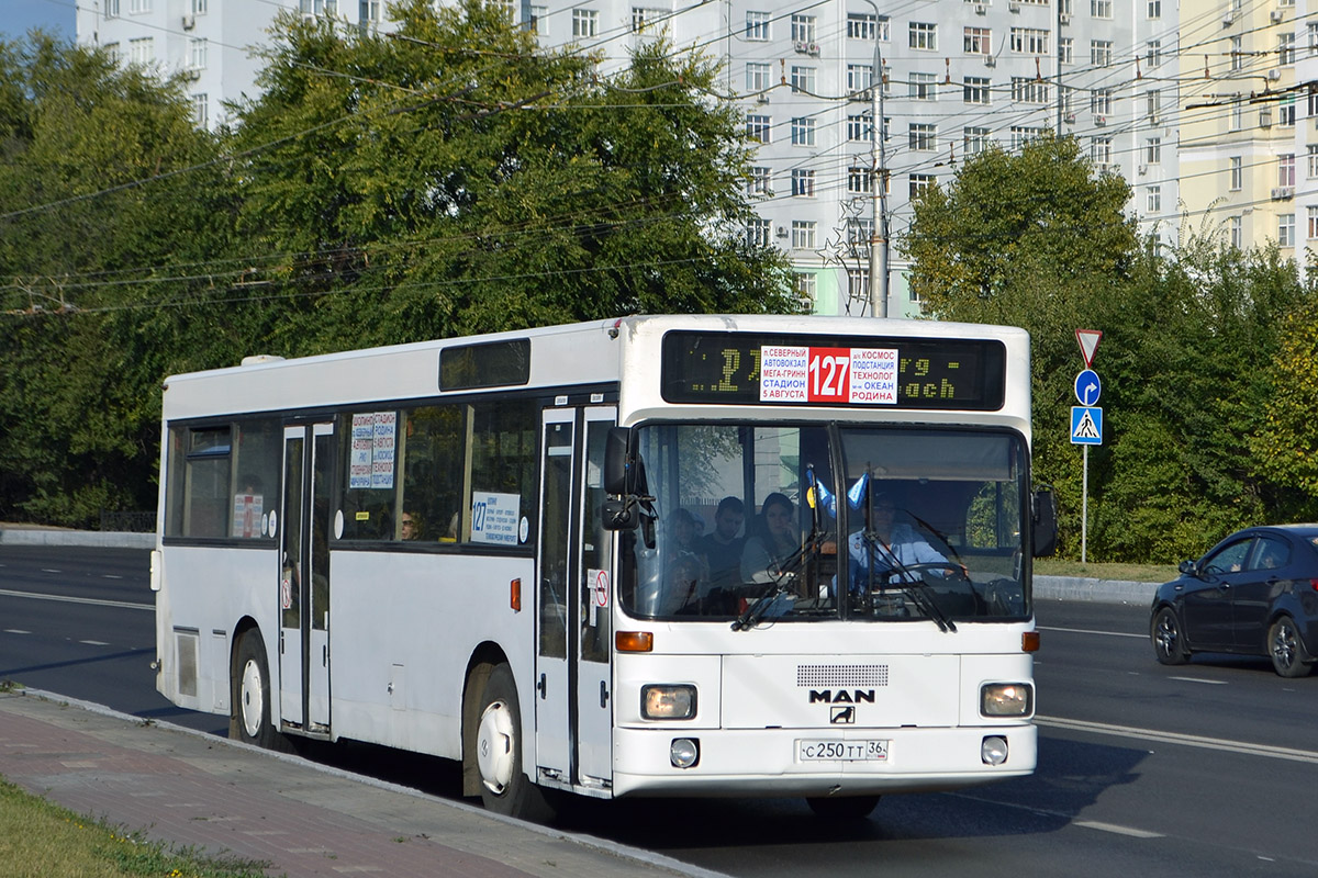 Белгородская область, MAN 791 SL202 № С 250 ТТ 36