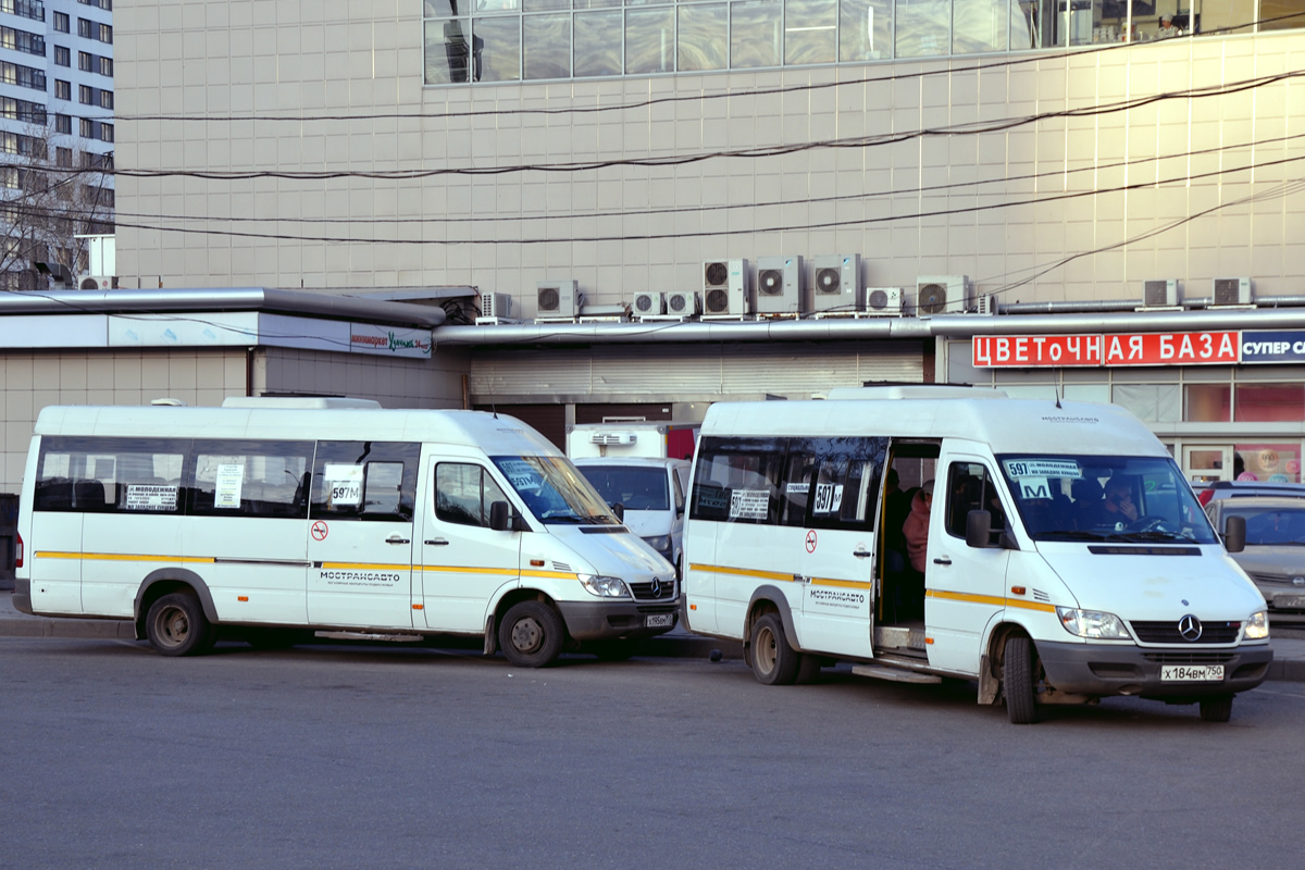 Московская область, Луидор-223237 (MB Sprinter Classic) № 3442