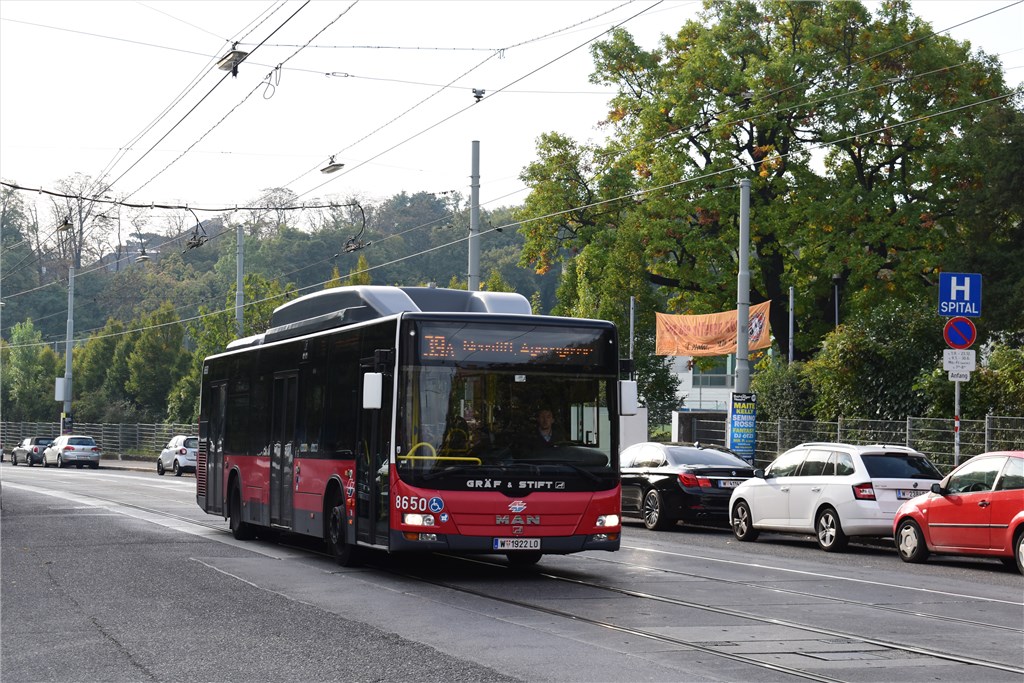 Австрия, MAN A21 Lion's City NL273 LPG № 8650