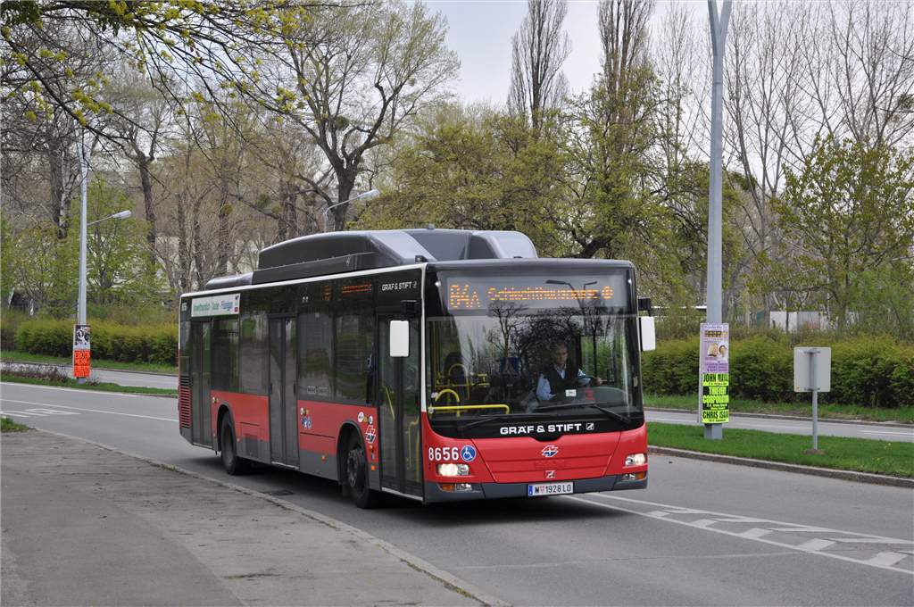 Австрия, MAN A21 Lion's City NL273 LPG № 8656