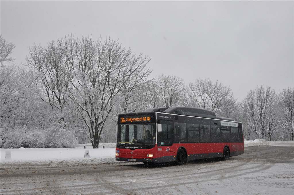 Австрия, MAN A21 Lion's City NL273 LPG № 8666