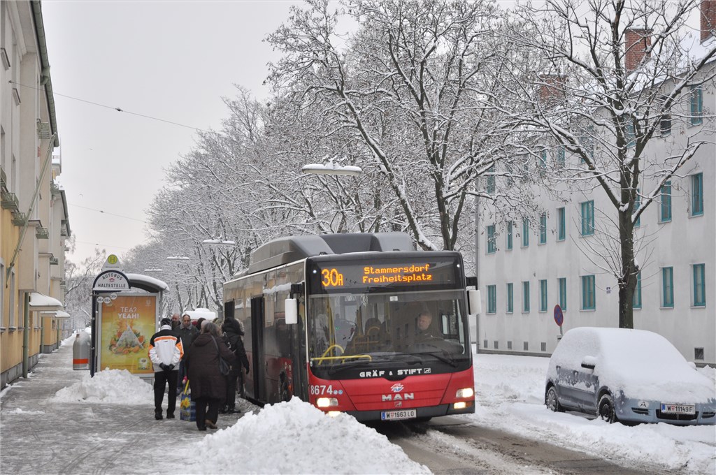 Австрия, MAN A21 Lion's City NL273 LPG № 8674