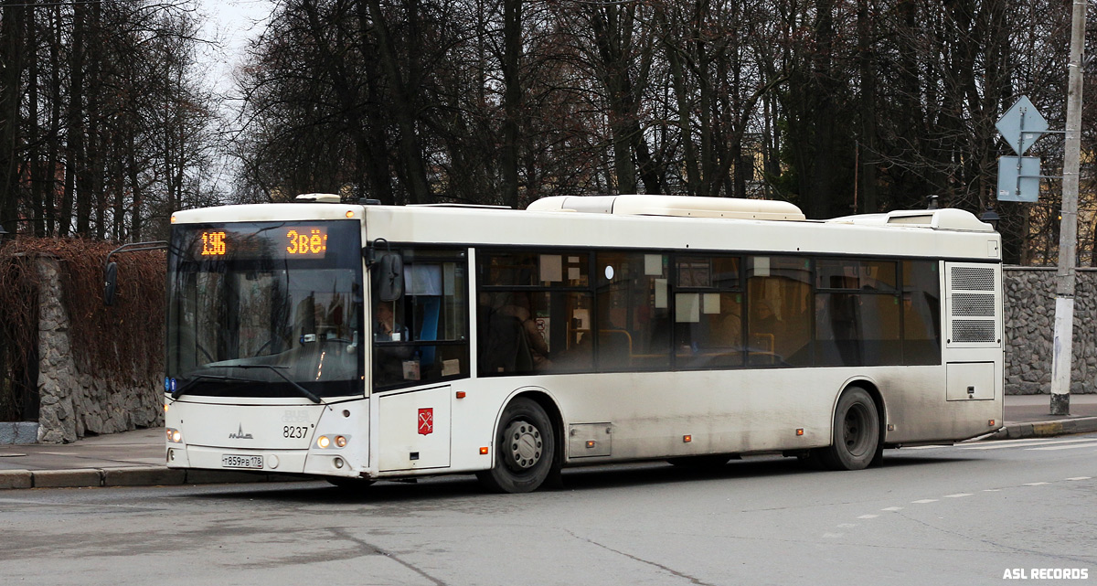 Санкт-Петербург, МАЗ-203.085 № 8237