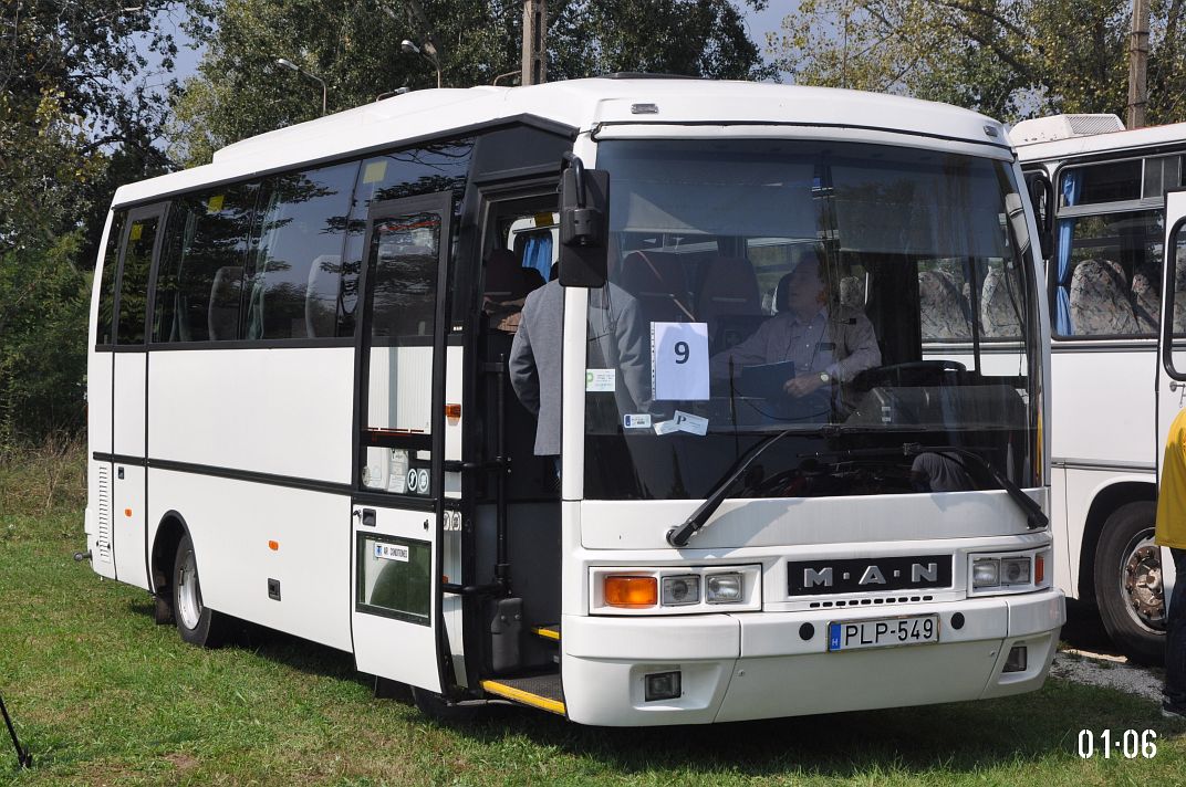 Венгрия, Ikarus EAG E14 № PLP-549; Венгрия — 12. Ikarus Nap, Budapest Mátyásföld (2018)