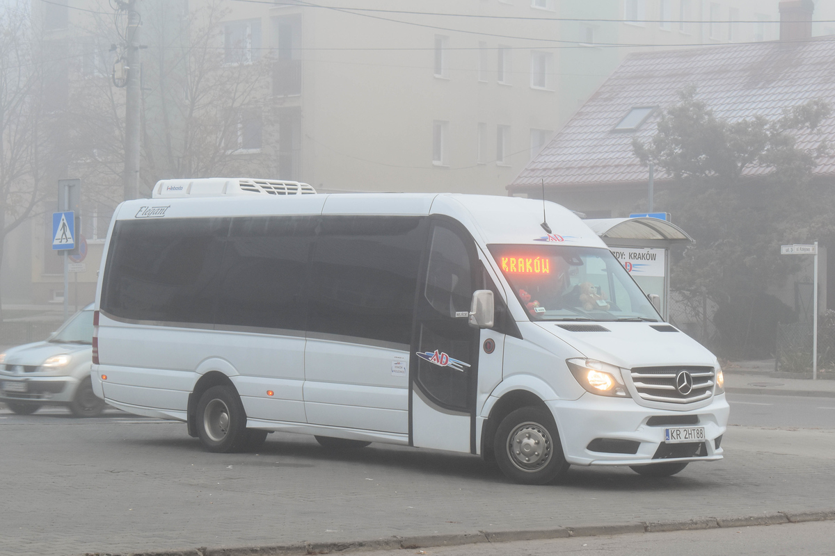 Польша, Mercedes-Benz Sprinter 906BB55 № KR 2HT88