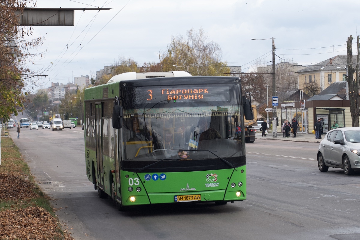 Житомирская область, МАЗ-206.086 № 03