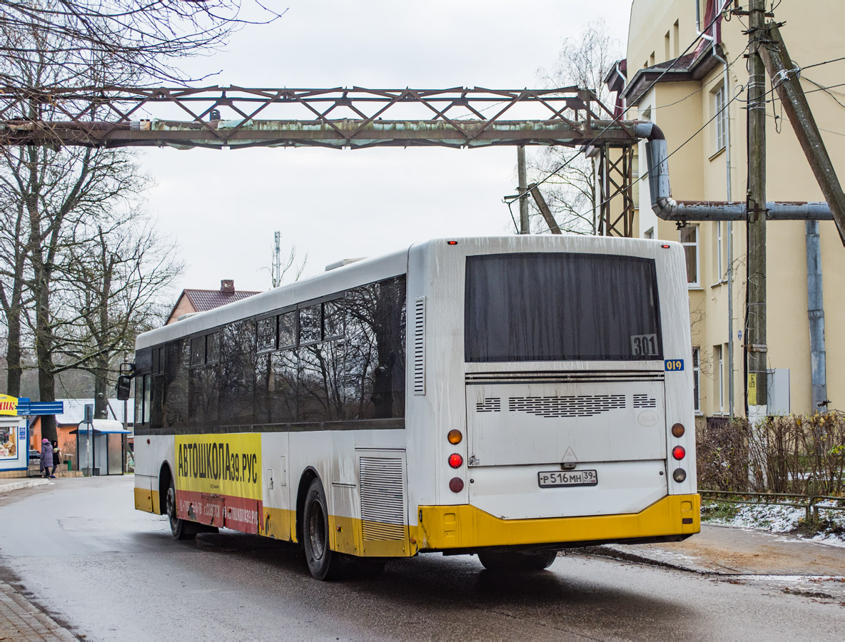 Kaliningrad region, Alfabusz Regio № 019