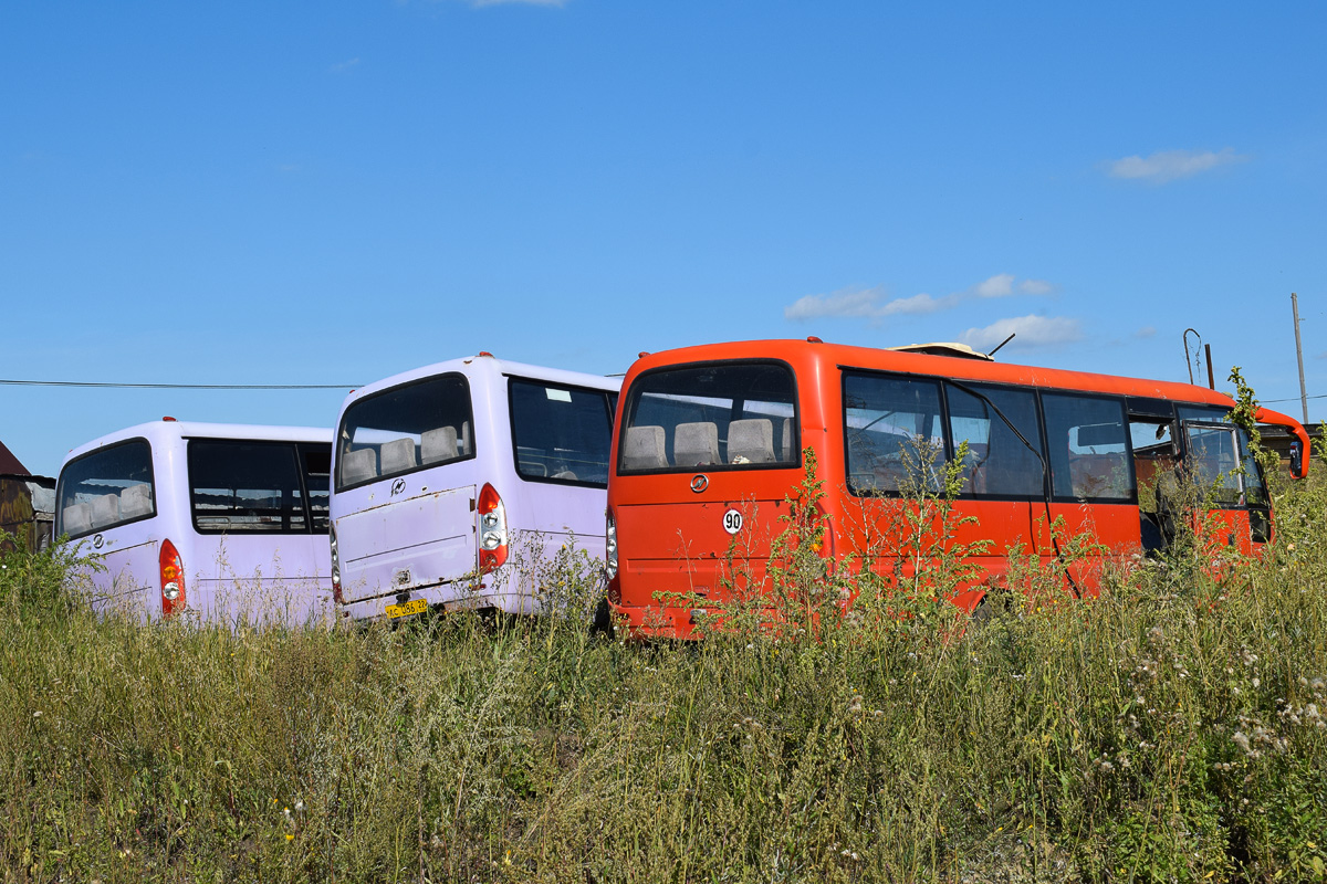 Панкрушиха фото алтайский край