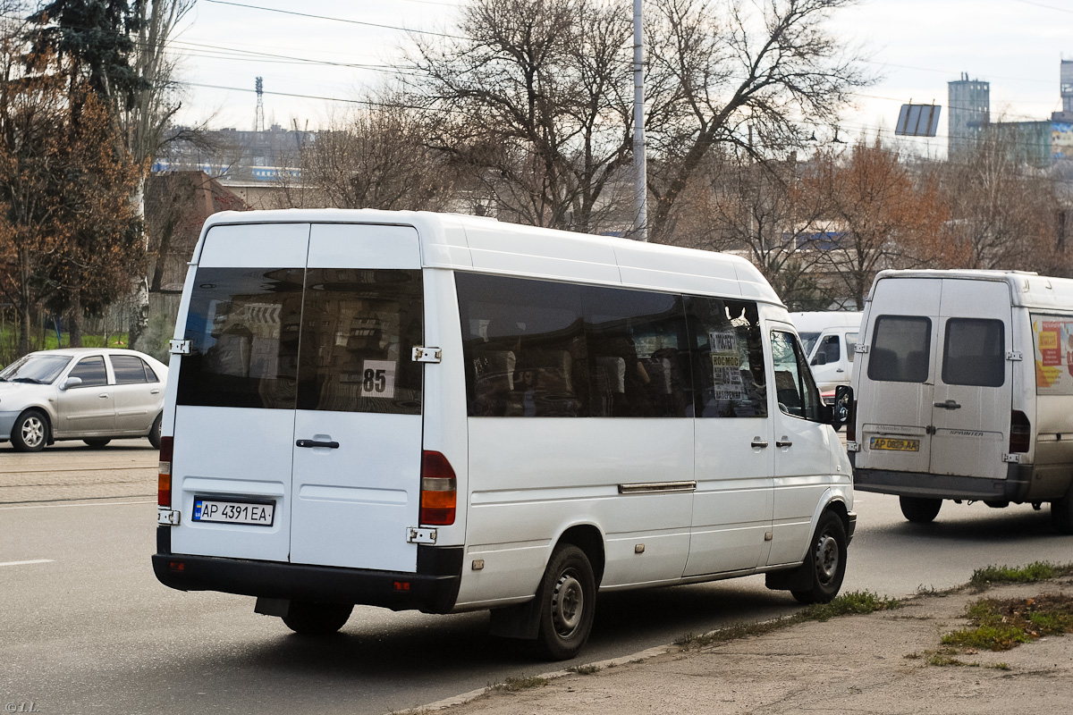 Zaporozhye region, Mercedes-Benz Sprinter W903 312D # AP 4391 EA