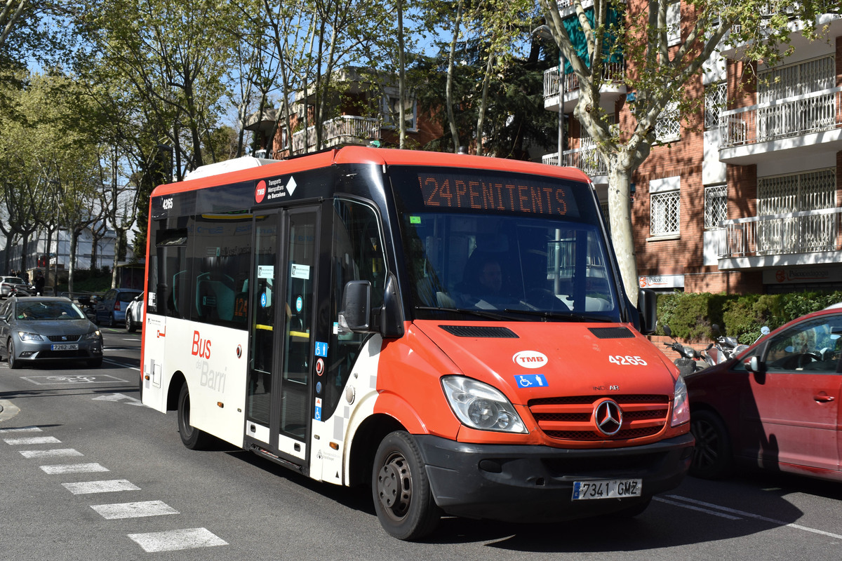 Испания, Indcar Cytios № 4265