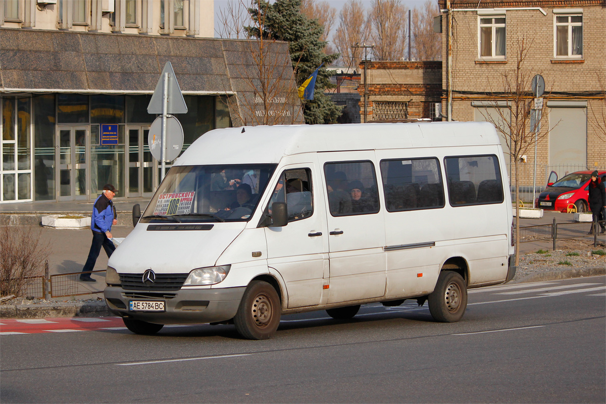 Днепропетровская область, Mercedes-Benz Sprinter W903 313CDI № AE 5784 BC