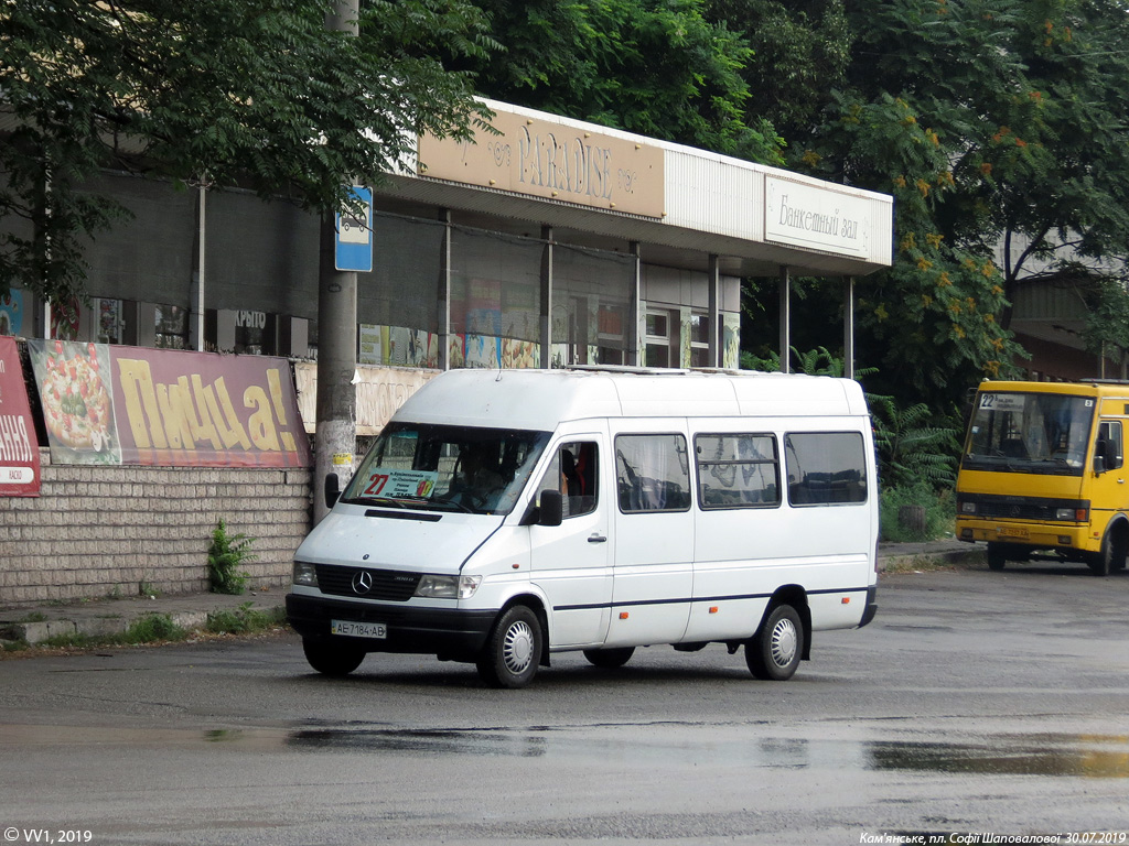 Днепропетровская область, Mercedes-Benz Sprinter W903 312D № AE 7184 AB