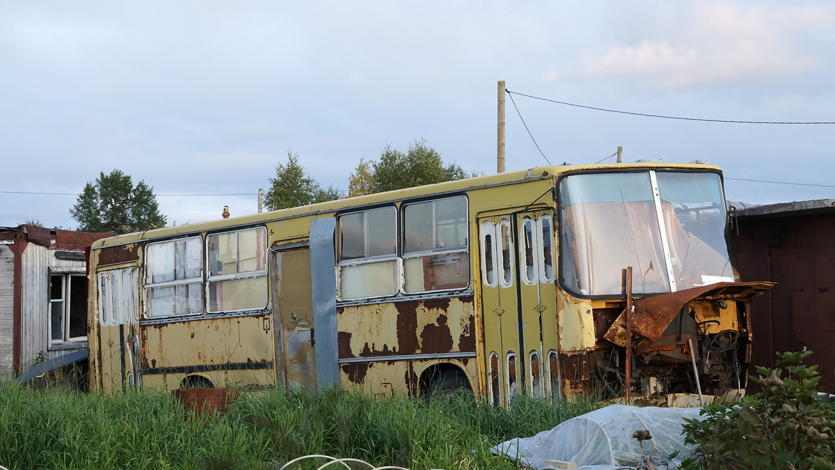 Ненецкий АО, Ikarus 260 (СВАРЗ) № А 437 ЕЕ 83